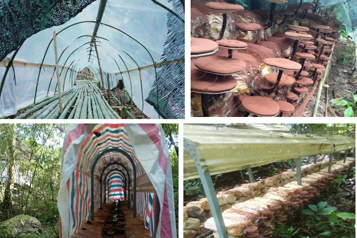 Các đề tài, dự án khoa học và công nghệ được ứng dụng hiệu quả