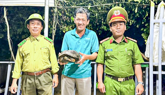 Tăng cường bảo vệ động vật hoang dã