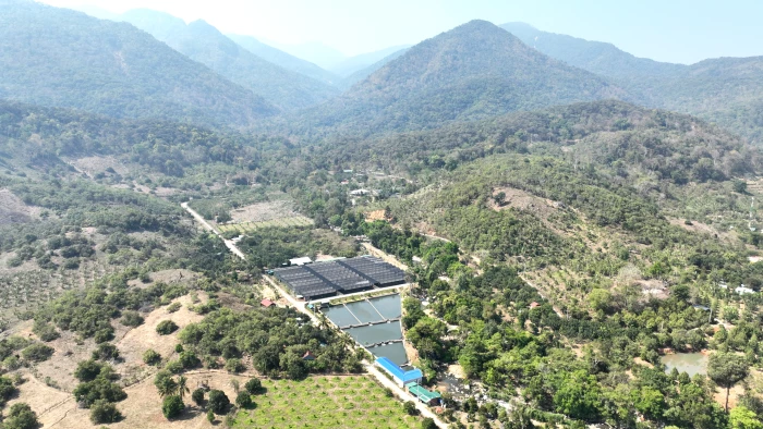 Mô hình nuôi cá tầm ở xã Bác Ái Tây: Khai thác tốt lợi thế vùng cao