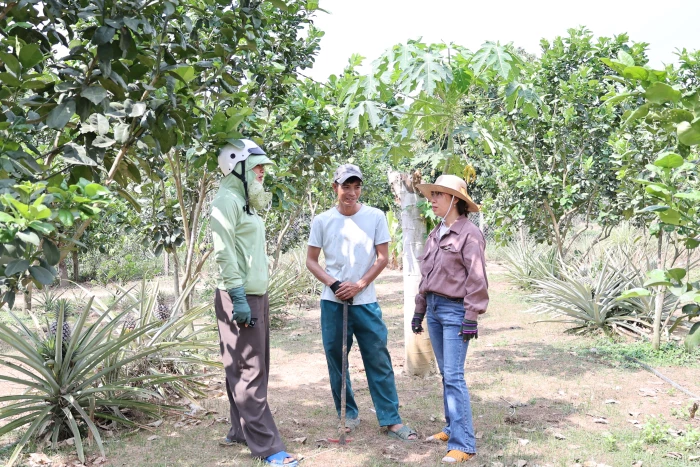 Nguồn vốn chính sách: Đòn bẩy giảm nghèo bền vững ở Khánh Vĩnh
