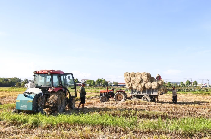 Vụ hè thu 2026: Thích ứng với khô hạn