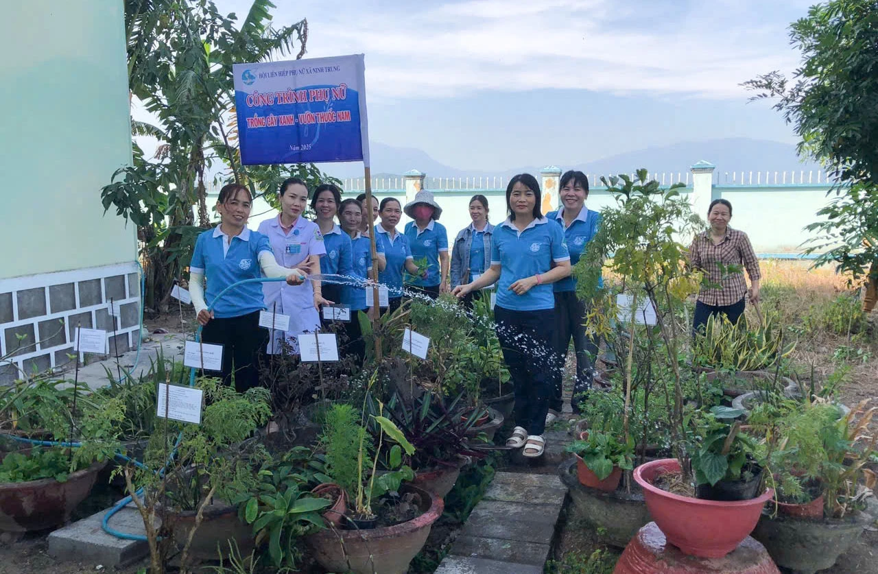 Thiết thực mô hình vườn cây thuốc nam