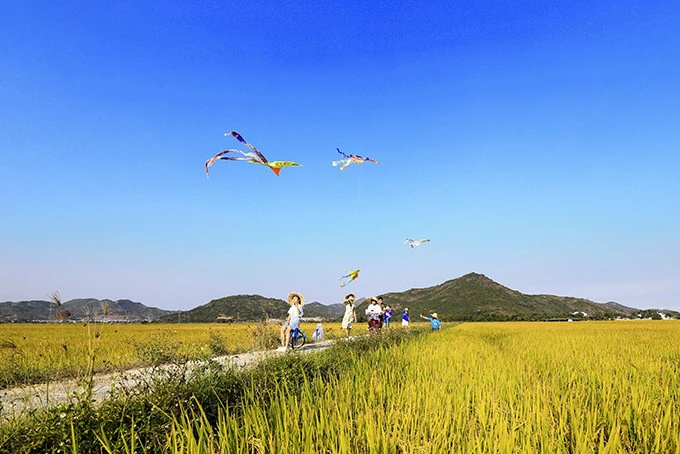 Lồng lộng cánh diều