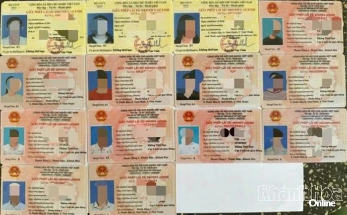 Hệ lụy từ việc mua bán, sử dụng giấy phép lái xe giả