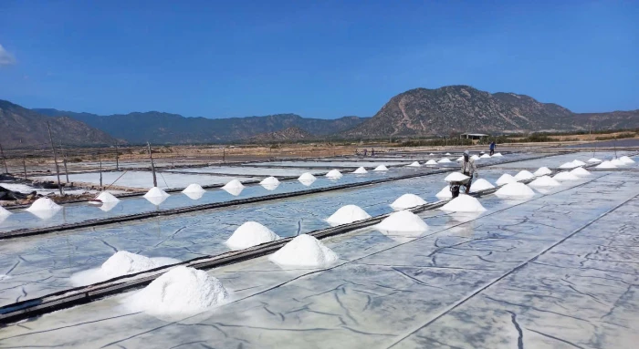 Xã Ninh Hải: Hướng tới nâng cao giá trị hạt muối
