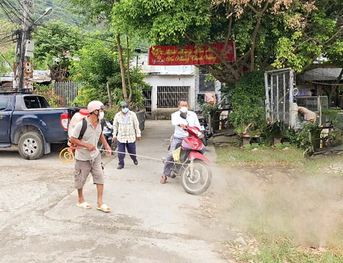 Không để dịch tả heo châu Phi bùng phát