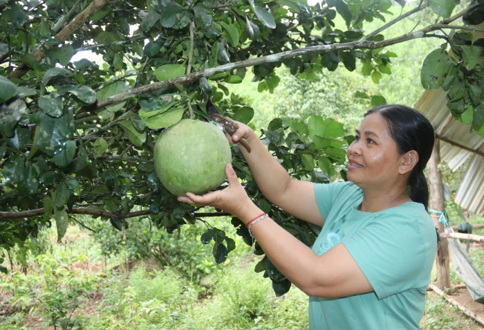 Gương sáng phụ nữ thi đua yêu nước