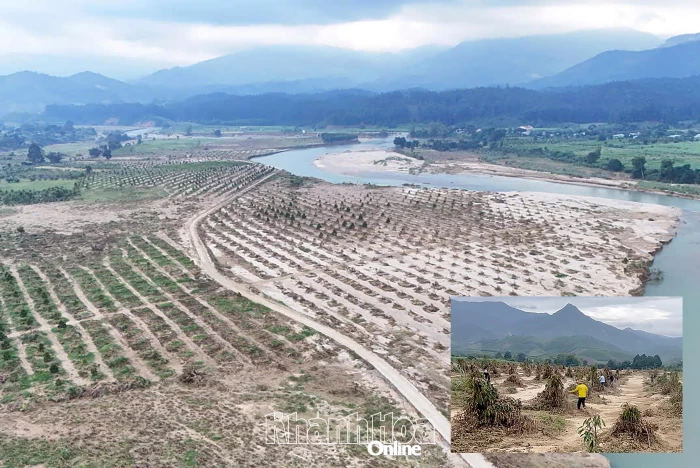 Hỗ trợ người dân miền núi khôi phục sản xuất