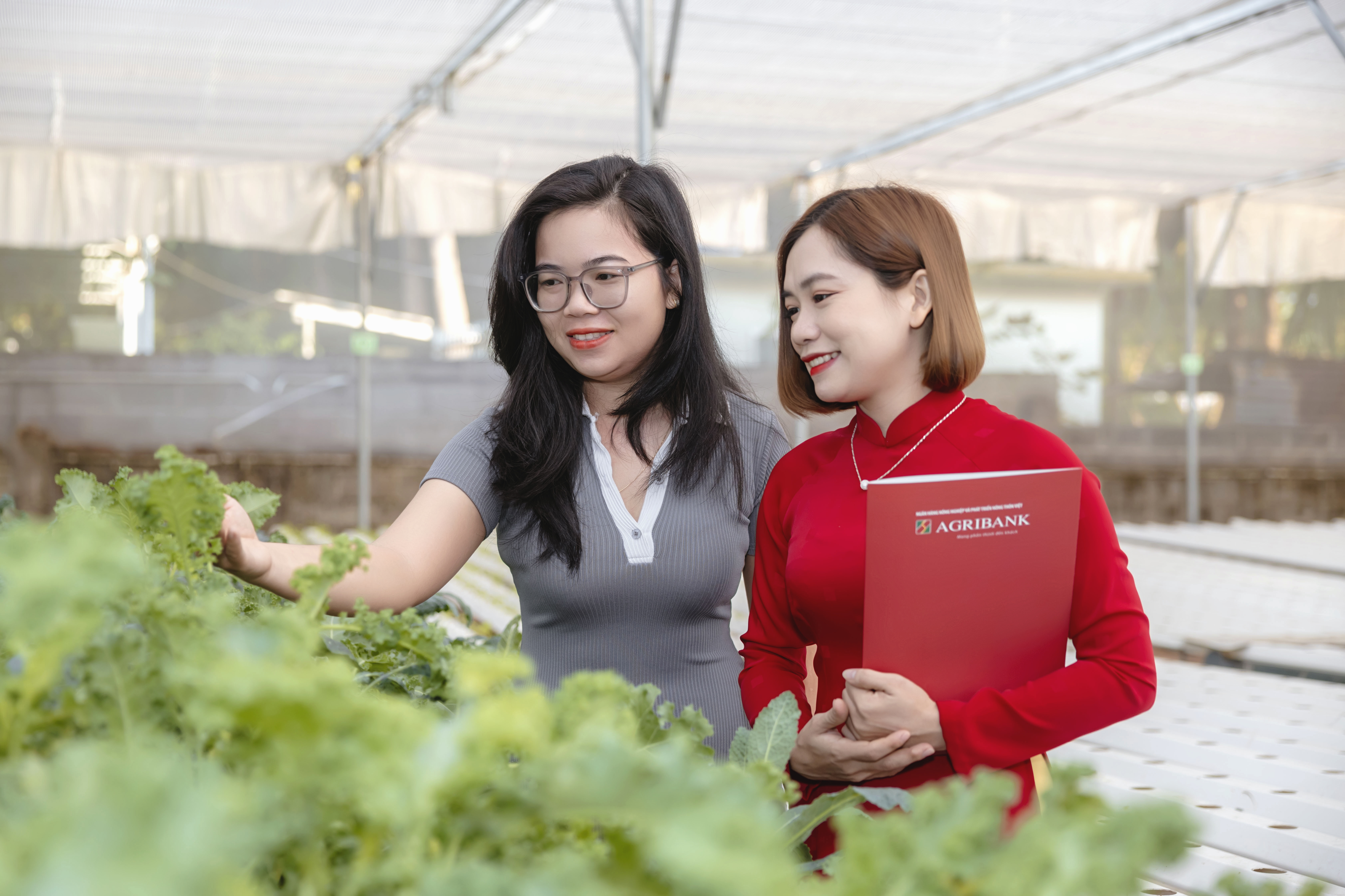 Triển vọng từ tín dụng xanh