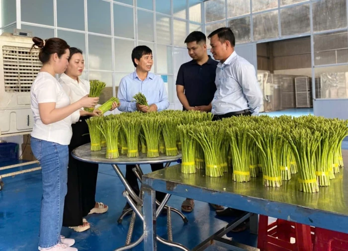 Phê duyệt Chương trình khuyến nông giai đoạn 2026 - 2030