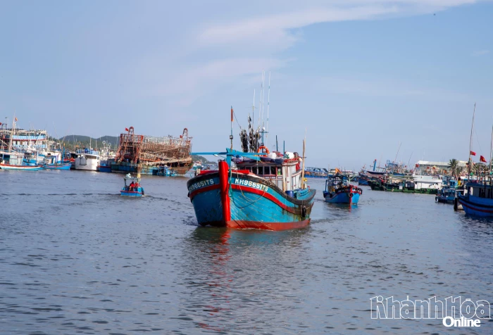 Góp ý dự thảo Nghị định về một số chính sách phát triển thủy sản