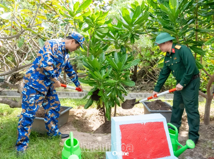 Sẽ trồng 400 cây sao đen tại lễ phát động “Tết trồng cây đời đời nhớ ơn Bác Hồ” xuân Bính Ngọ 2026