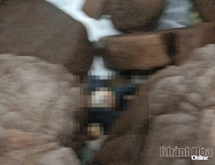 Phát hiện thi thể người đàn ông tại khu vực Đầm Môn