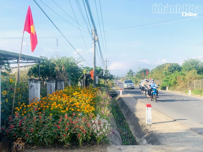 Sắc xuân đong đầy trong những khóm hoa quê