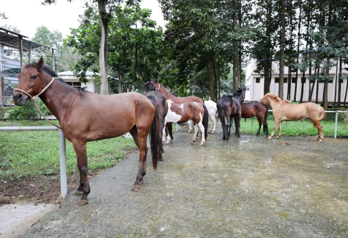 Những “chiến binh" thầm lặng hiến máu cứu người