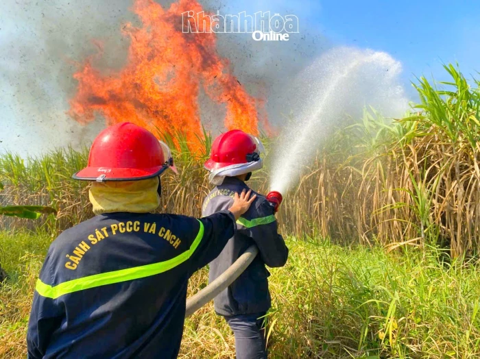 Cháy rẫy mía tại xã Ninh Sơn