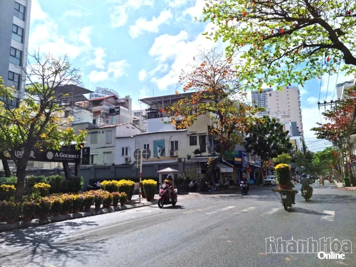 Tết ngày xưa - Tết bây giờ