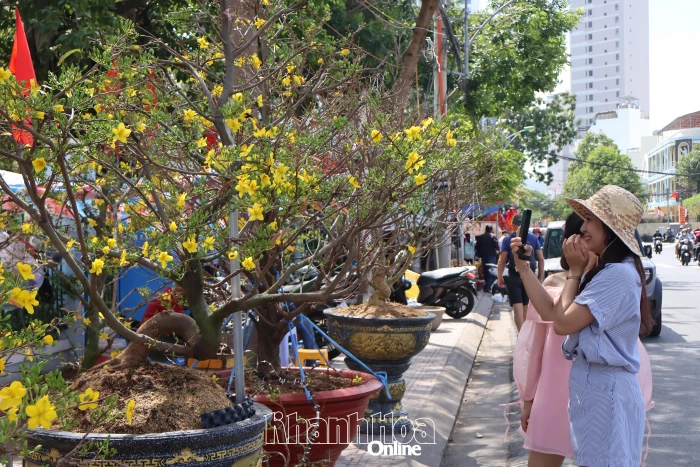 Hoa xuân xuống phố