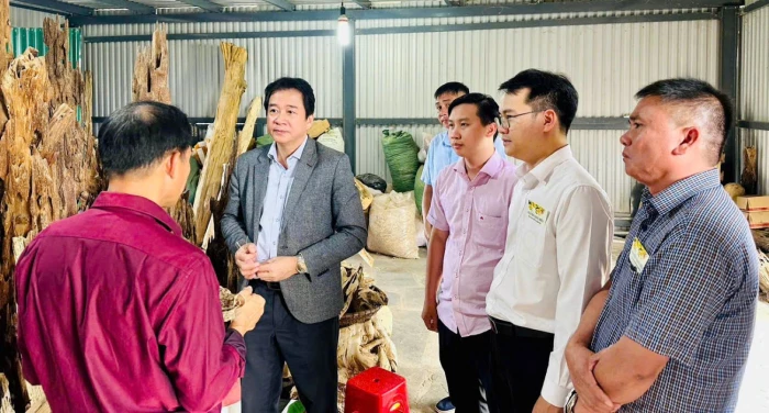 Phó Chủ tịch Thường trực UBND tỉnh Nguyễn Long Biên thăm làng nghề trầm hương xã Vạn Thắng