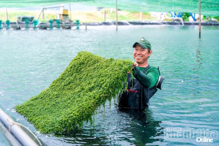 Sản vật OCOP Khánh Hòa vươn xa