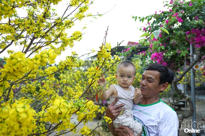 Xuân về trên vùng lũ