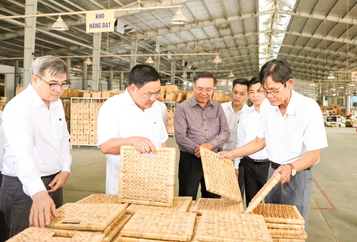 Lựa chọn hợp tác xã tham gia chương trình hỗ trợ của Quỹ Thiện Tâm