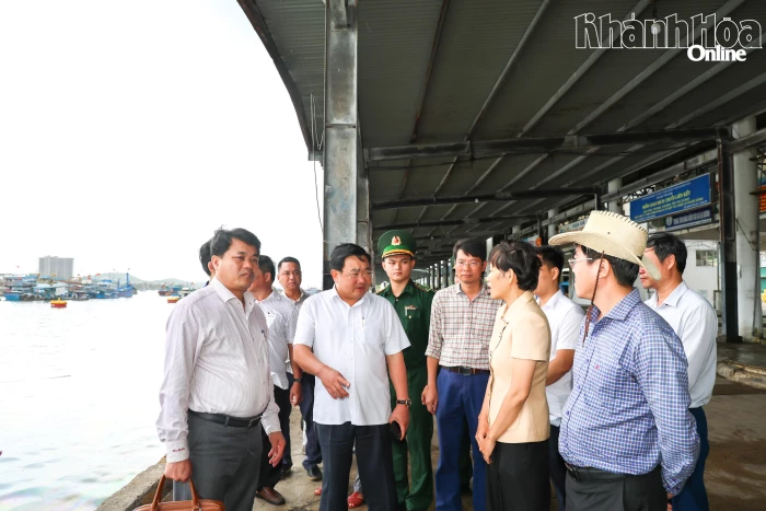 Kiểm tra công tác chuẩn bị làm việc với đoàn EC về chống khai thác IUU