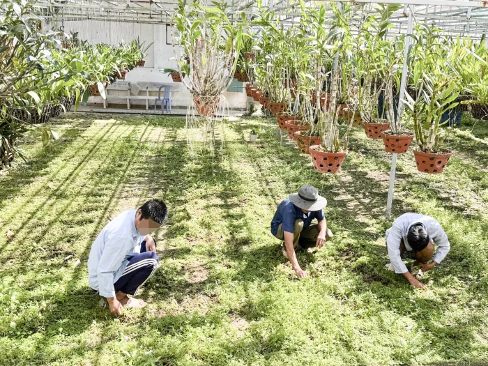 Kỷ niệm 10 năm Ngày Công tác xã hội Việt Nam (25-3-2016 - 25-3-2026): Điểm tựa cho bệnh nhân tâm thần