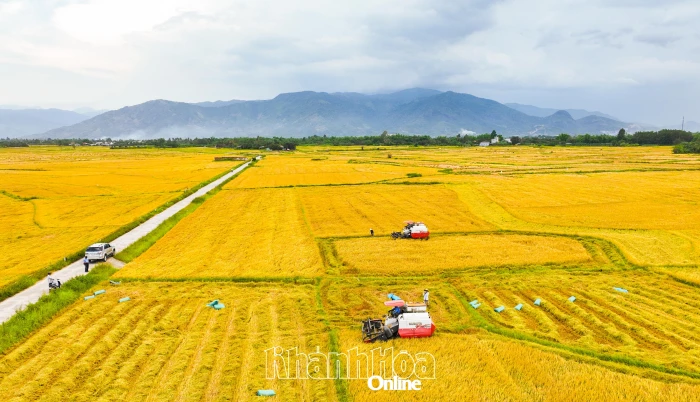 Rà soát tiêu chí nông thôn mới về nông nghiệp và môi trường