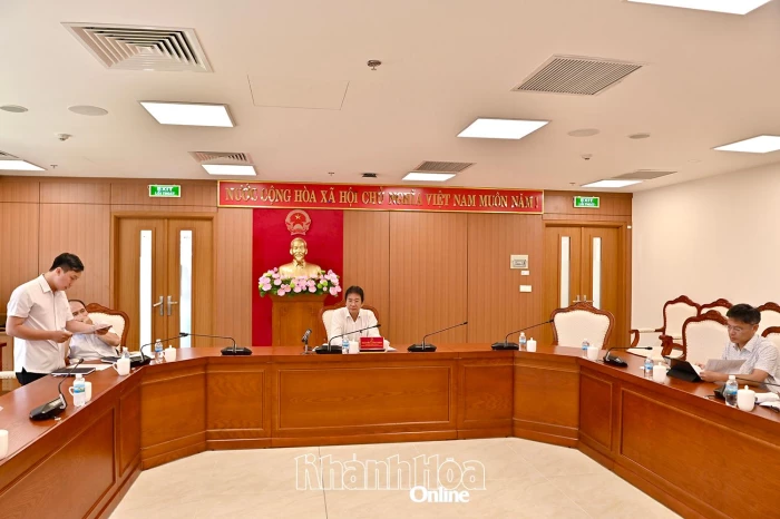 Đồng ý chủ trương thành lập Trung tâm Dịch vụ lướt ván diều quốc tế Mỹ Hòa