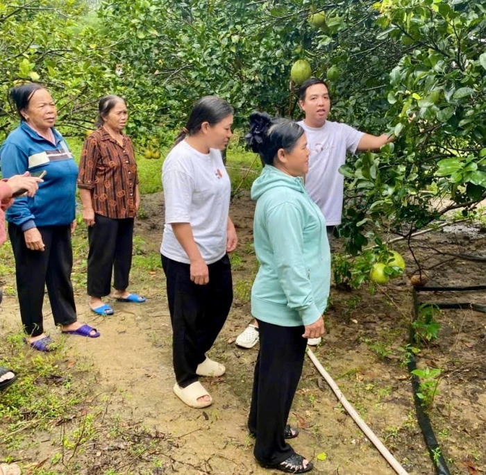 Khi ruộng vườn thành lớp học