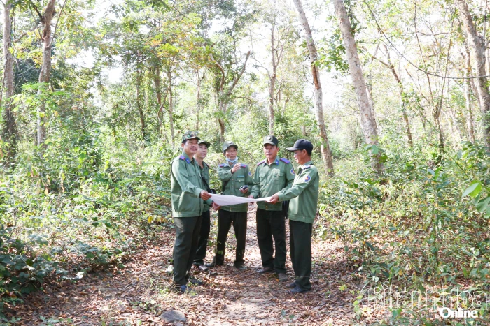 Chủ động phòng cháy rừng từ sớm, từ xa