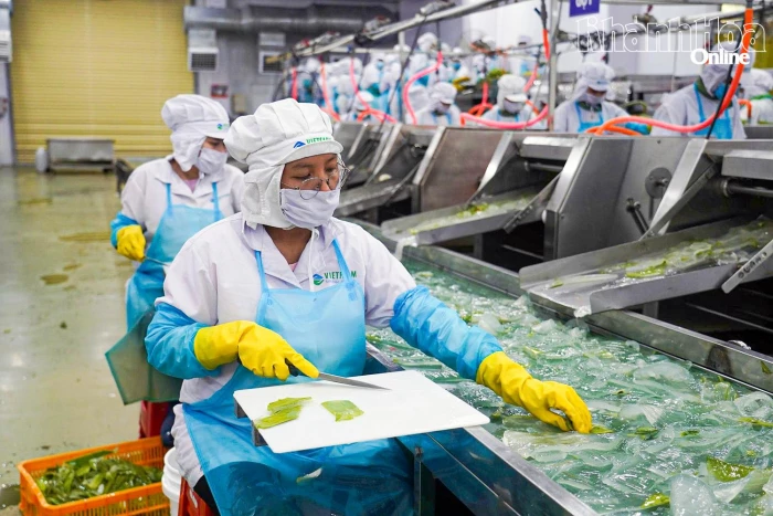 Đưa kinh tế tư nhân thành động lực phát triển