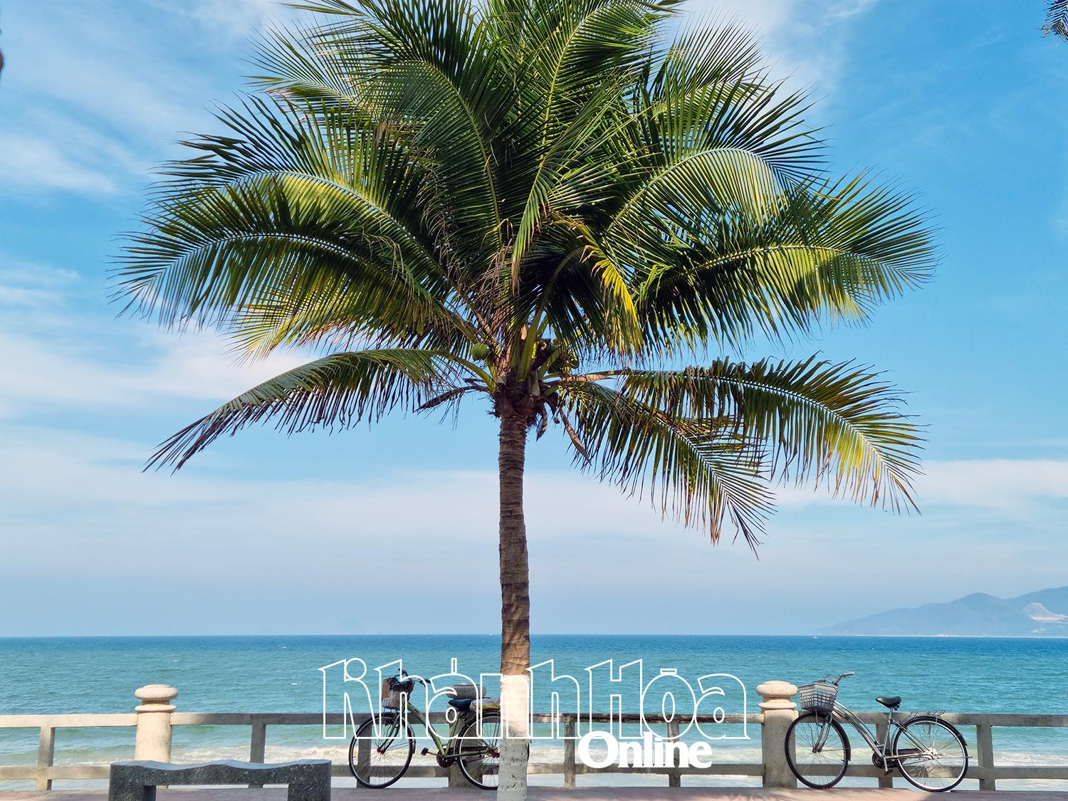 Thành phố bé thế thôi