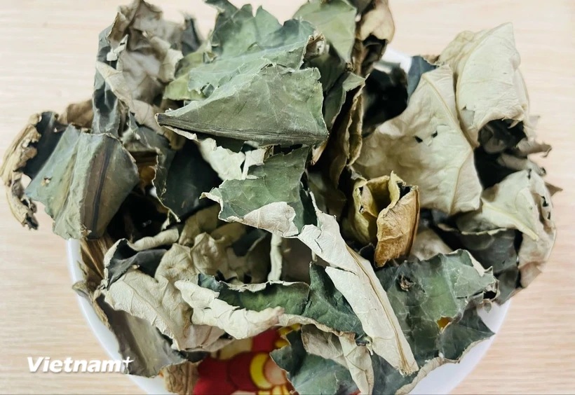 Vì sao uống trà lá sen khô có thể giúp giảm mỡ máu?