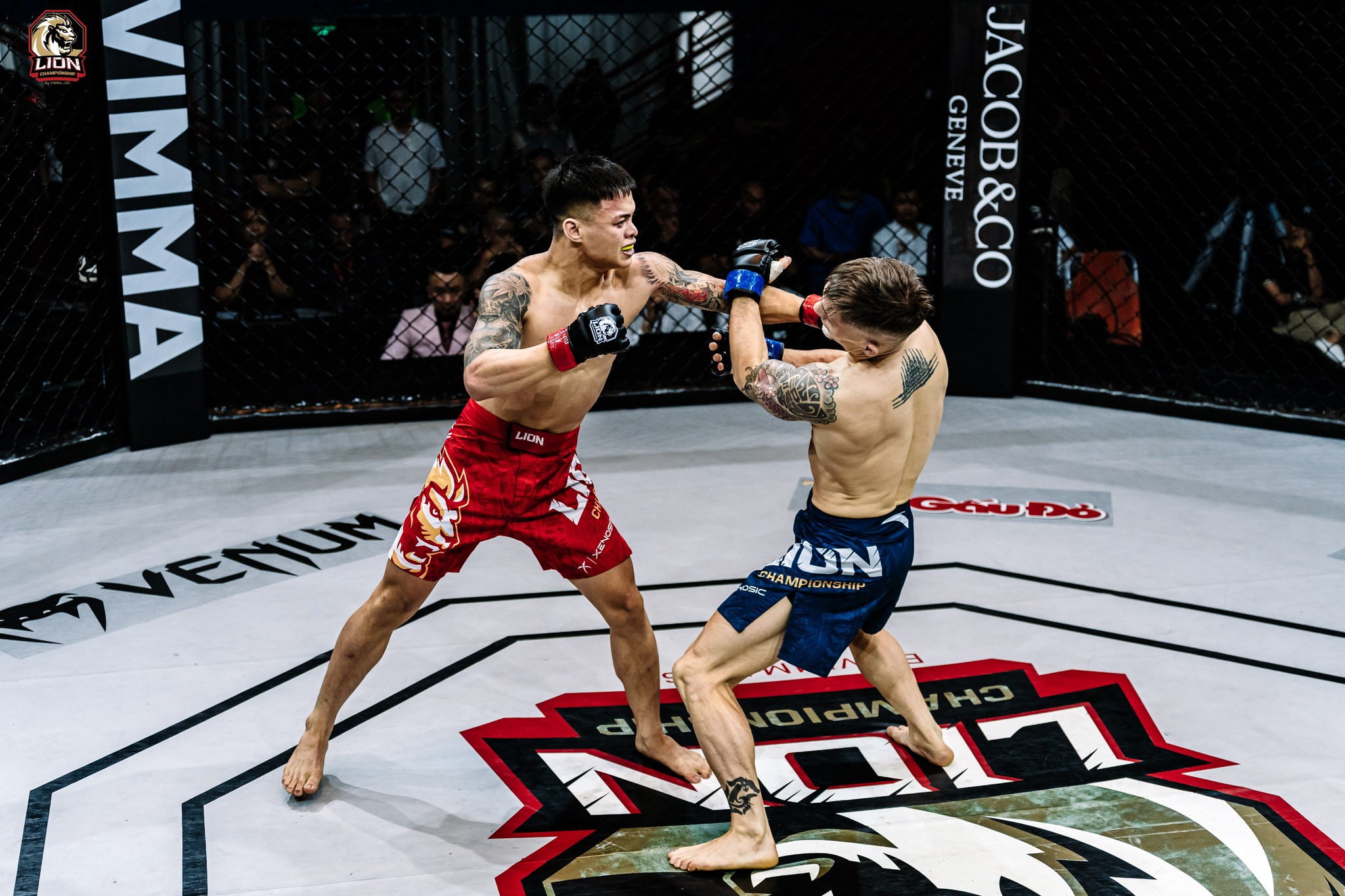 MMA Lion Championship 25 sẽ đến Cam Ranh