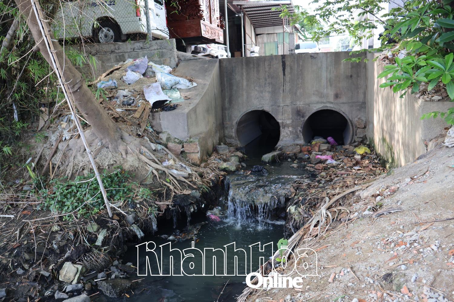 UBND TP. Nha Trang chỉ đạo xử lý nghiêm các trường hợp tự ý lắp đặt đường ống xả thải trực tiếp ra sông Quán Trường