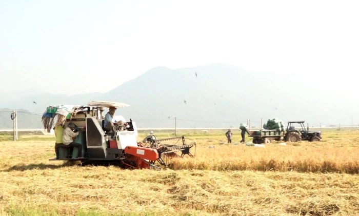 Quý I/2026, thu ngân sách xã Vạn Ninh đạt hơn 187% kế hoạch