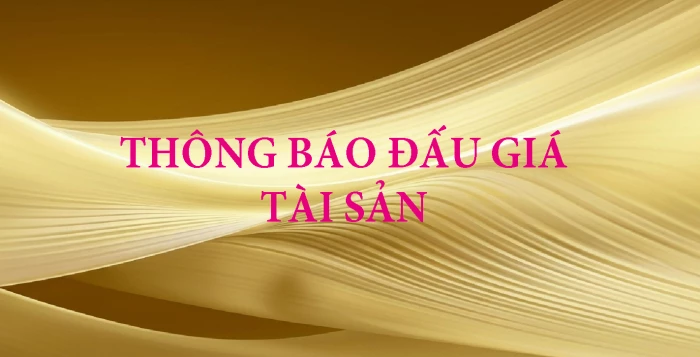 Chi nhánh Công ty Đấu giá Hợp danh Lê Nguyên thông báo đấu giá tài sản