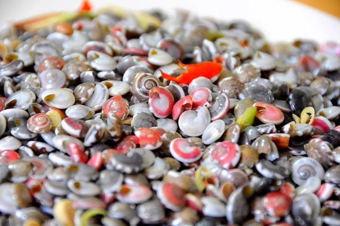 Nhớ mùa ốc ruốc