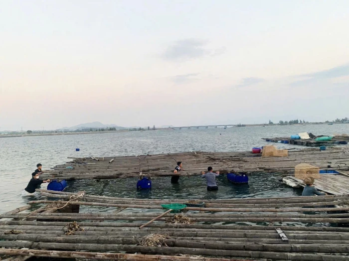 Phường Bắc Cam Ranh: Thêm 1 trường hợp tự giác tháo dỡ công trình nuôi trồng thủy sản vi phạm