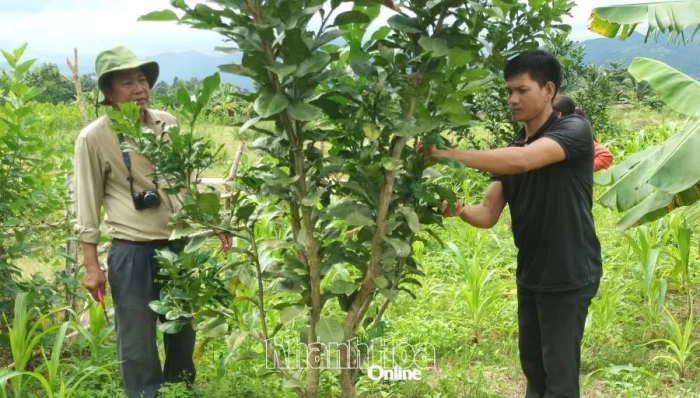 Triển khai chương trình đổi mới, nâng cao chất lượng đào tạo nghề nông thôn đến năm 2030