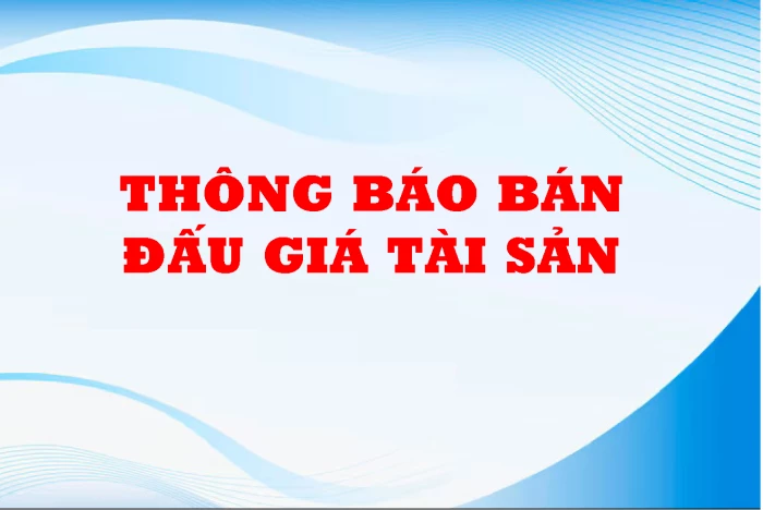 Công ty Đấu giá hợp danh Vạn Thiên Phước thông báo đấu giá tài sản