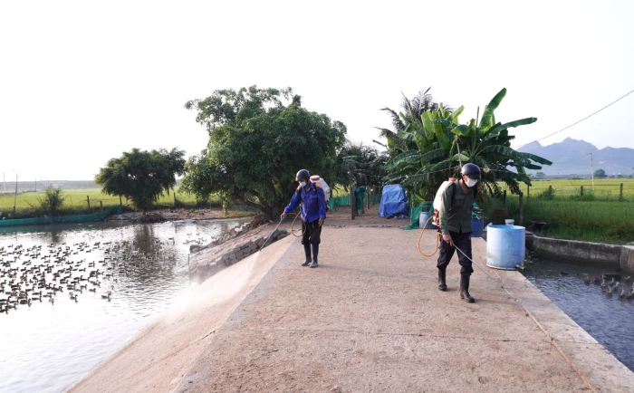 Xã Vạn Ninh triển khai phun hóa chất vệ sinh, khử trùng, tiêu độc môi trường chăn nuôi đợt 1