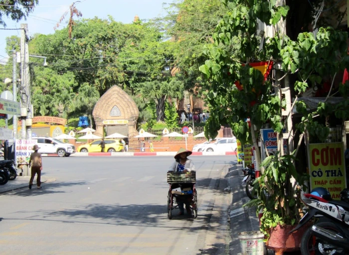 Biển báo giao thông bị cây xanh che khuất