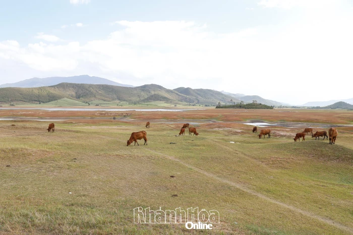 Nắng nóng gay gắt, dông lốc gia tăng