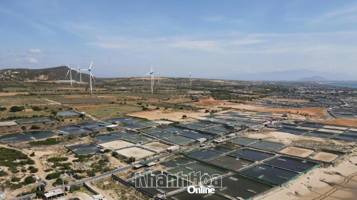 Tăng mức bồi thường, hỗ trợ tái định cư dự án điện hạt nhân