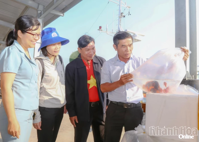 Thả 4,5 triệu con giống tái tạo nguồn lợi thủy sản tại vùng biển Đầm Bấy