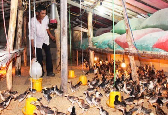 Xã Vạn Thắng triển khai Tháng tổng vệ sinh, khử trùng, tiêu độc môi trường chăn nuôi