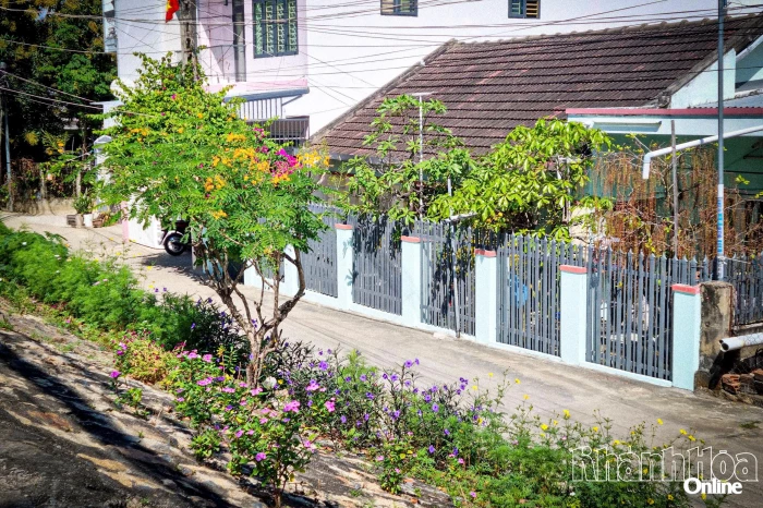 Những câu chuyện nơi hẻm nhỏ